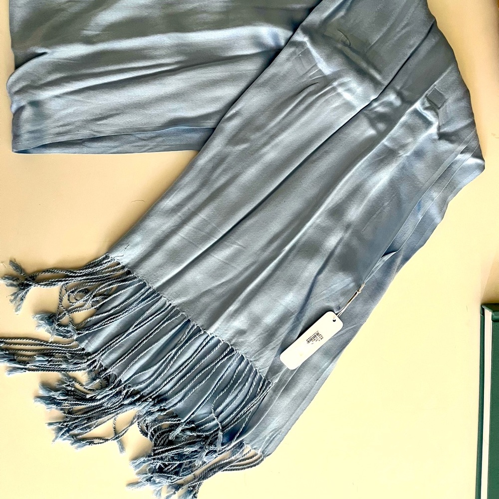 NWT Beautiful Blue scarf!
